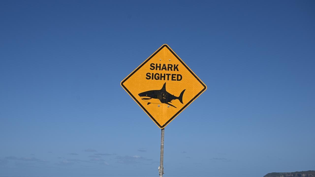 Shark attack leaves man in serious condition