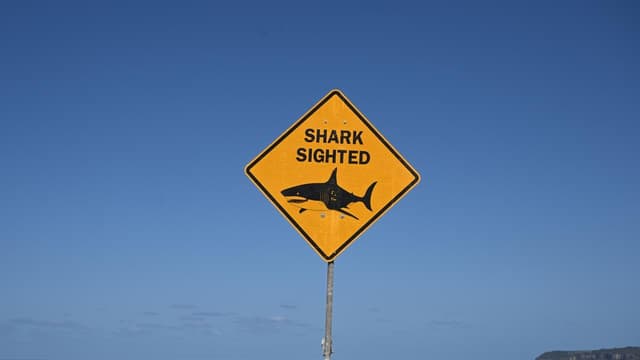 Shark attack leaves man in serious condition