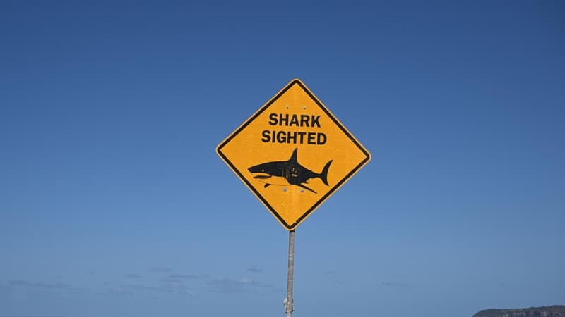 Shark attack leaves man in serious condition
