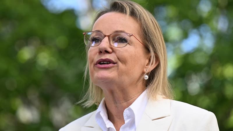 Labor appoints former opposition leader to Snowy Hydro