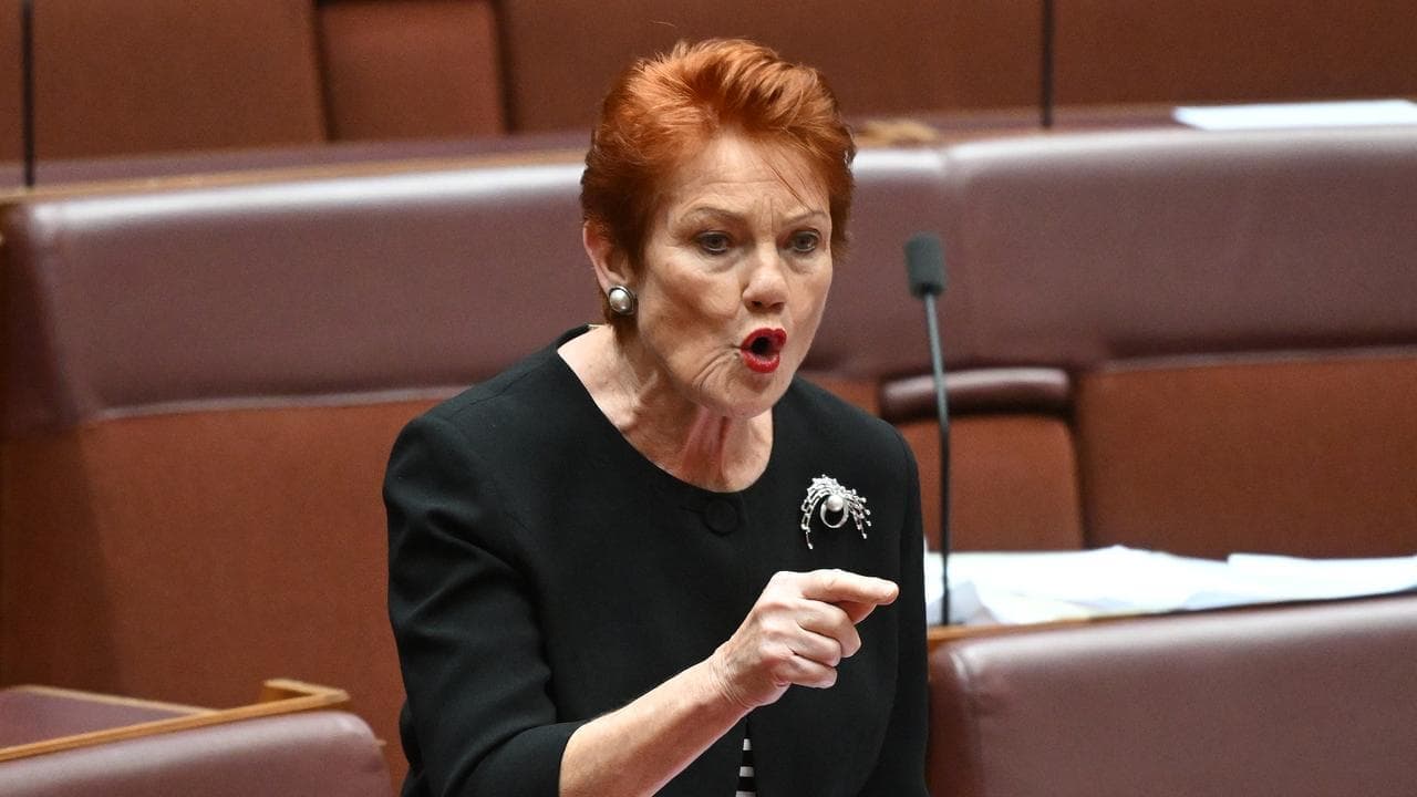 One Nation rubbishes budget costings on migration