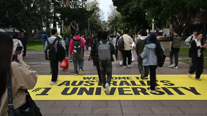 Hanson targets student 'visa hoppers' as backlog swells