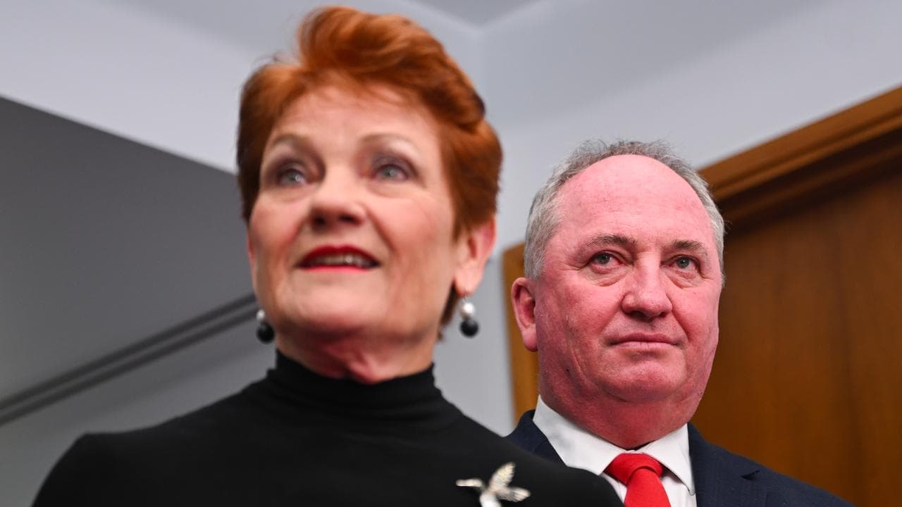Hanson gets '10/10' for Indigenous apology from own MP