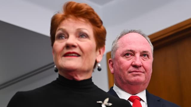 Hanson gets '10/10' for Indigenous apology from own MP