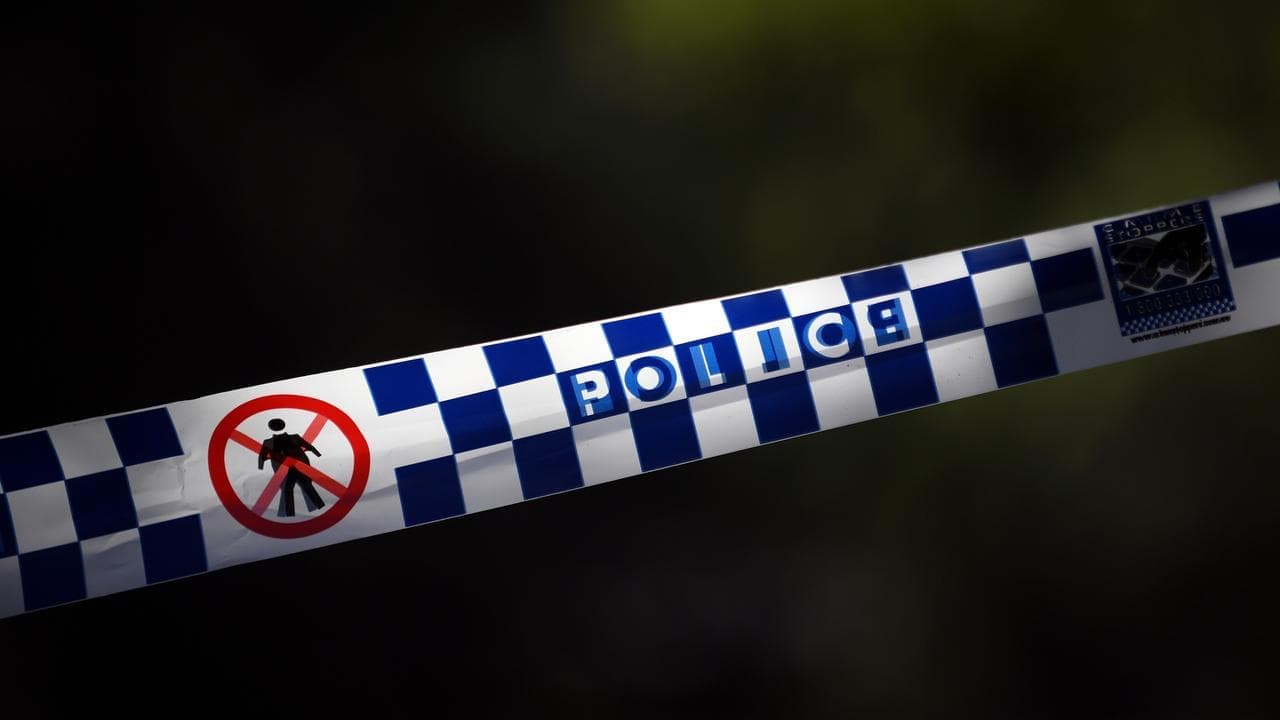 Alleged plotters behind Vietnam gang murder charged
