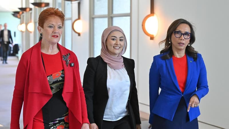 Pauline Hanson, Muslim senator join forces for staffing