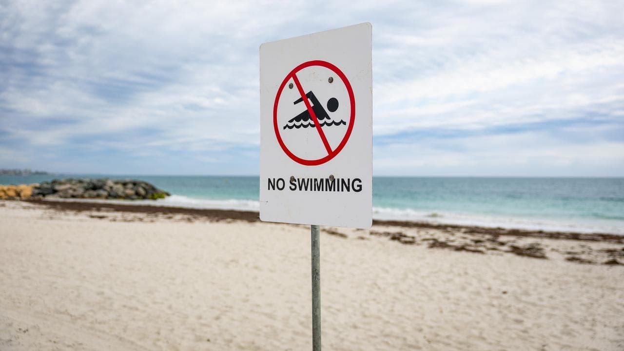 Search for shark and swimmer after fatal attack