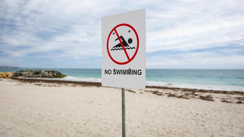 Search for shark and swimmer after fatal attack