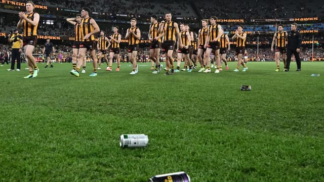 Hawks and their fans rage after devastating AFL loss