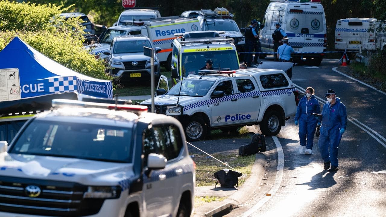 Mother allegedly behind stabbing attack that killed one