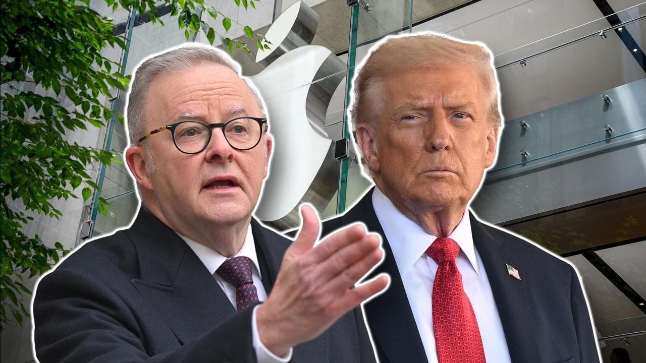 Albanese to advocate AI slowdown calls to Trump at UN