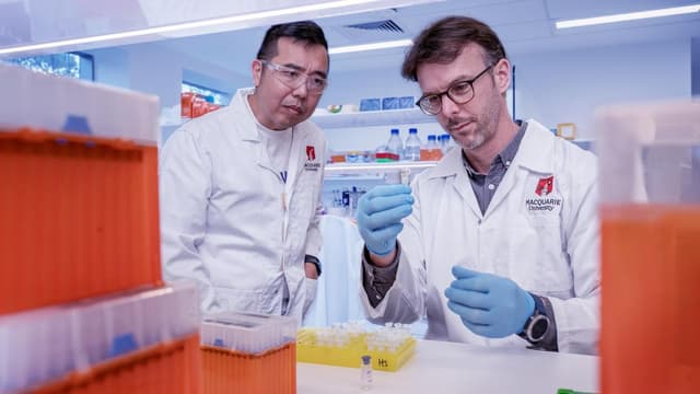'Bastard of a disease': hopes for brain treatments grow