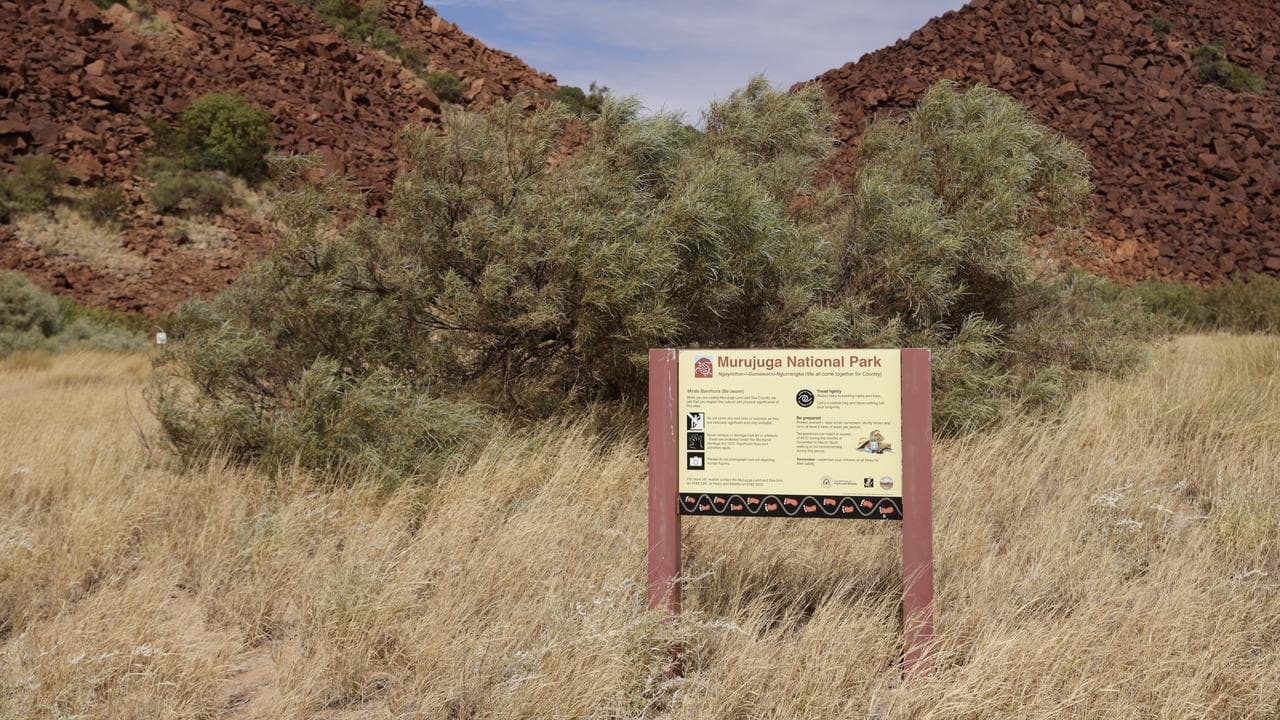 Rock art damage complaint goes to UN rights council