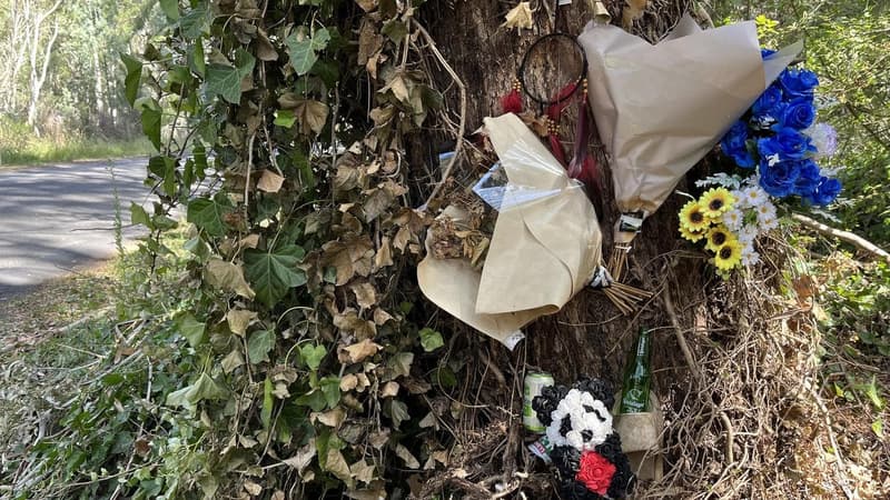 Drunk driver who killed ex while on AVO 'heartbroken'