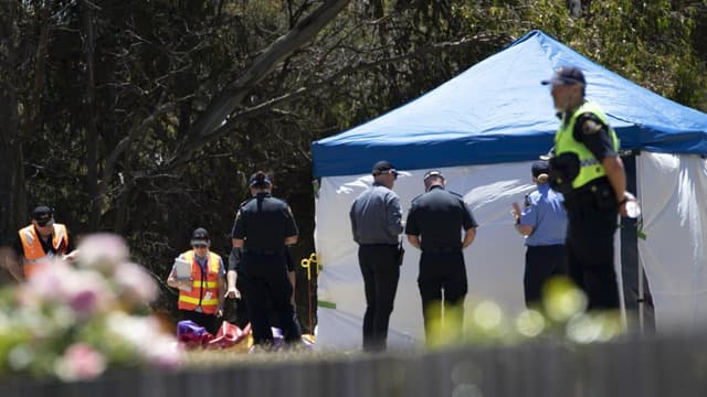 'Chaos, confusion': cop recalls jumping castle tragedy