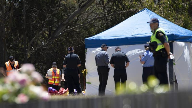 'Chaos, confusion': cop recalls jumping castle tragedy