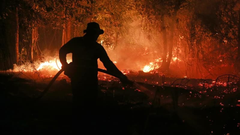 El Nino heat could cause nearly 500,000 more deaths