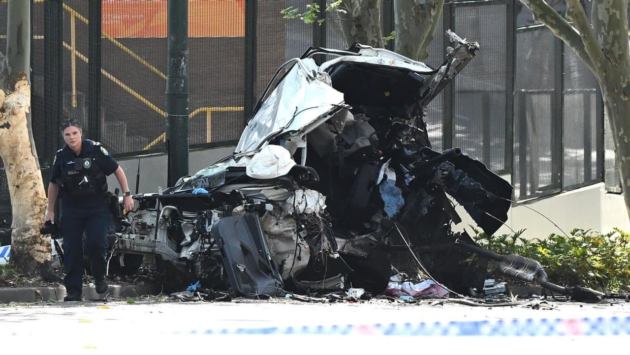 On-duty police officer dies after car crashes into tree