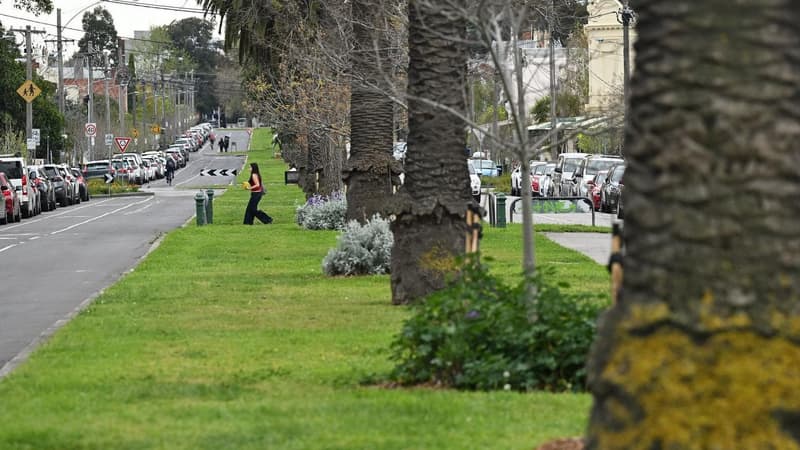 'Unbanned': premier weighs in on contentious picnic row