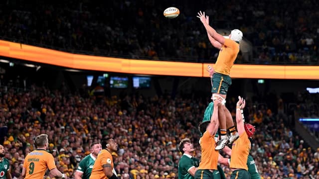 Wallabies suffer injury blow ahead of Springboks battle