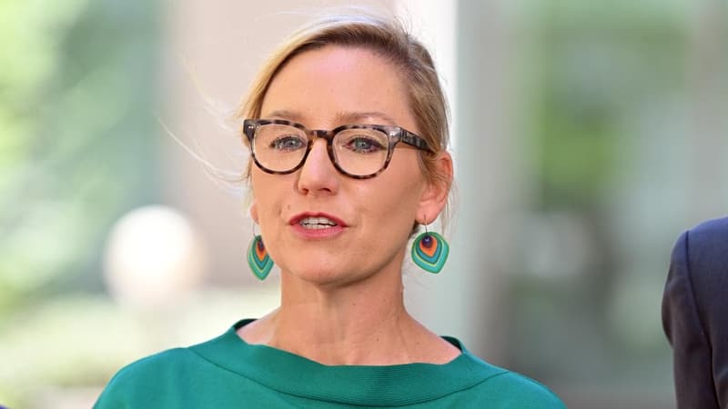 Greens leader suddenly quits after health 'downturn'