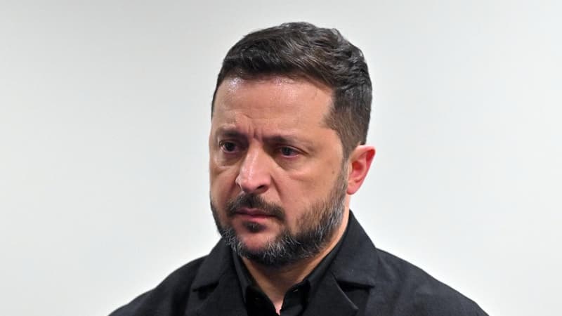 Russia has launched fresh mobilisation drive: Zelenskiy