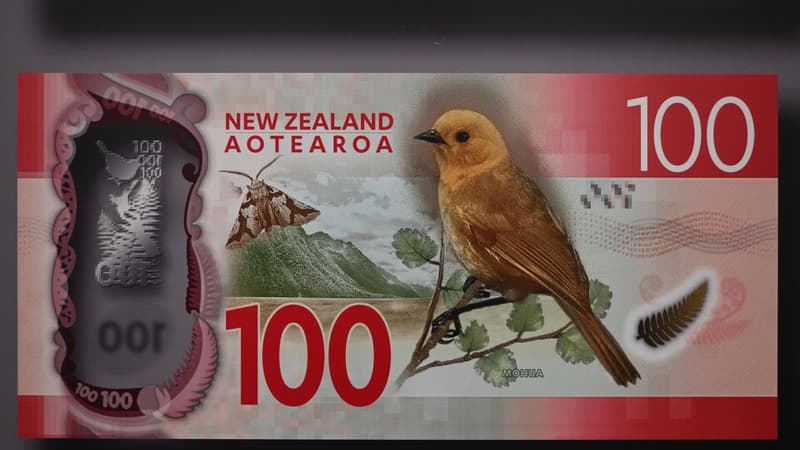 Improved NZ budget as election campaign gets fiscal