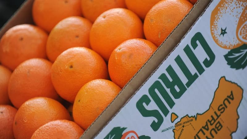 Citrus backed in fresh funding following water concerns