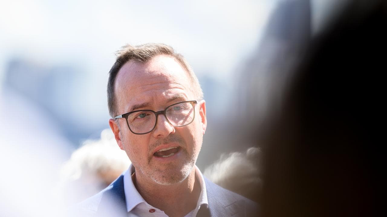 Greens reveal new leader after former head steps down