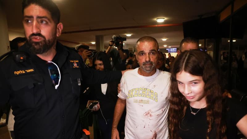 Passengers overcame pilot trying to crash plane: Israel