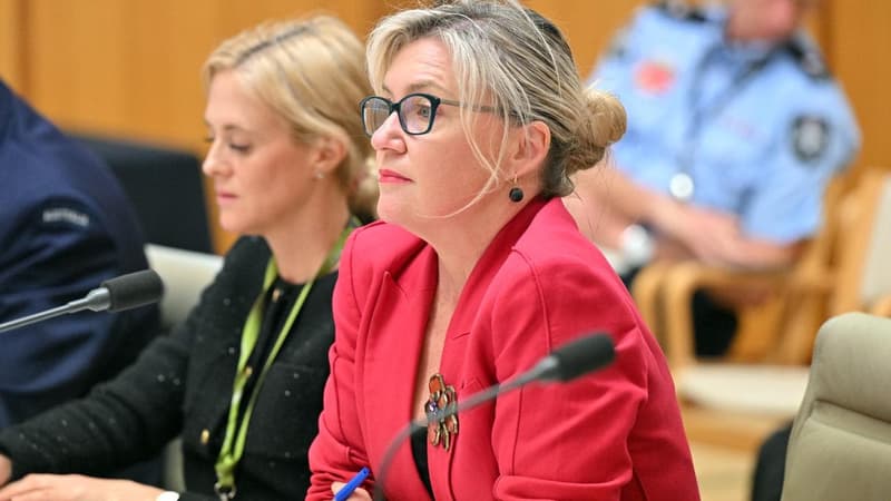 Key alliance deliberately vague on military game plan