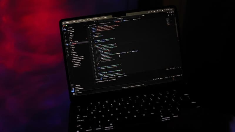 OpenAI discloses another government website breach