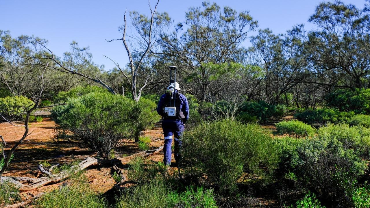 Carbon credit farming plan reaping dividends