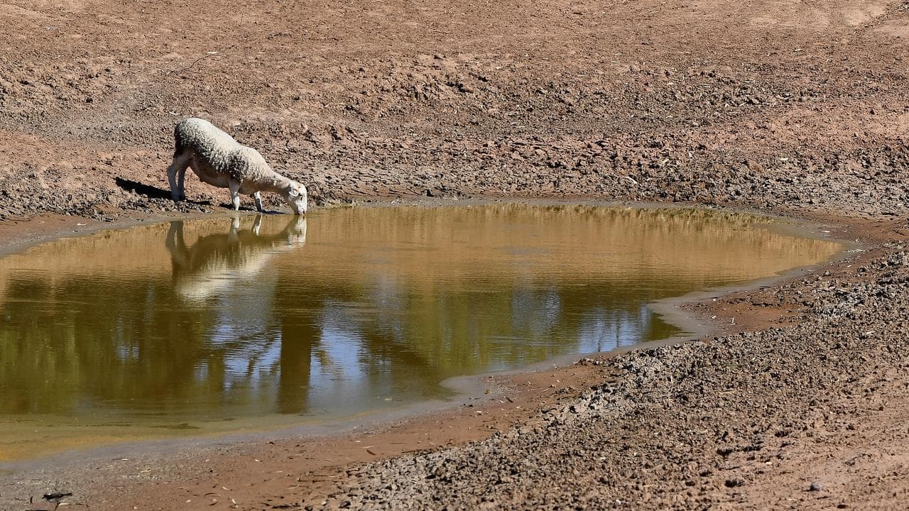 Warning El Nino could wipe $13b from Australian economy