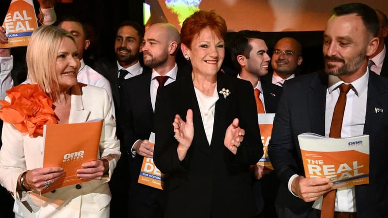 'Real change' election pledge for One Nation