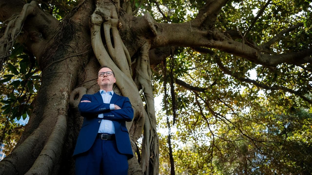 Solid and safe: why the Greens chose Shoebridge