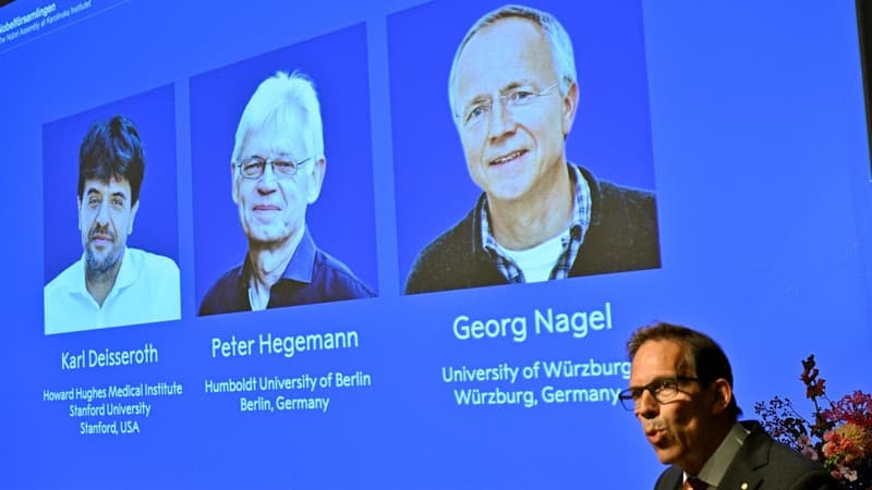 Nobel medicine prize goes to research of brain activity
