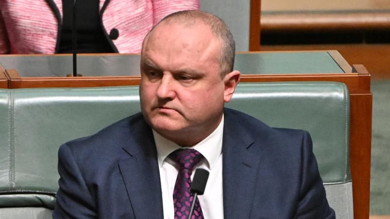 Liberal MP shares fake AI image of PM's airport arrival
