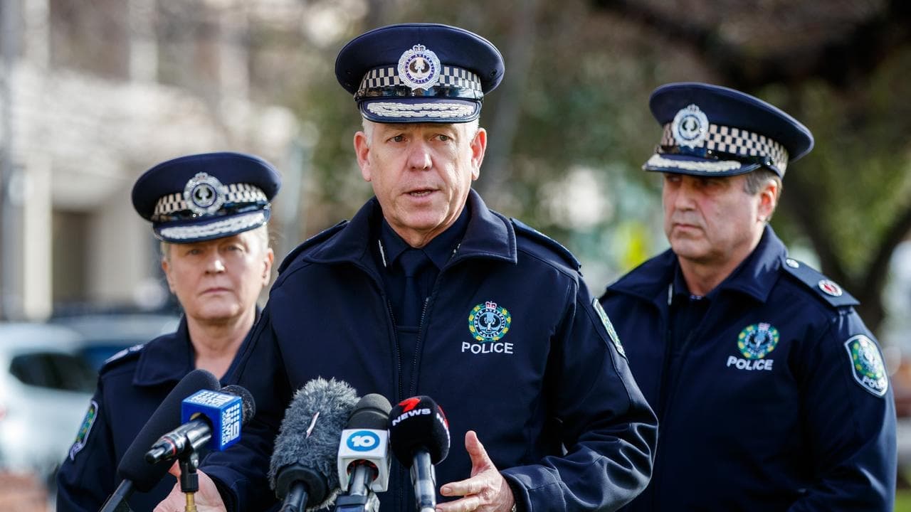 Police commissioner handpicked as King's representative