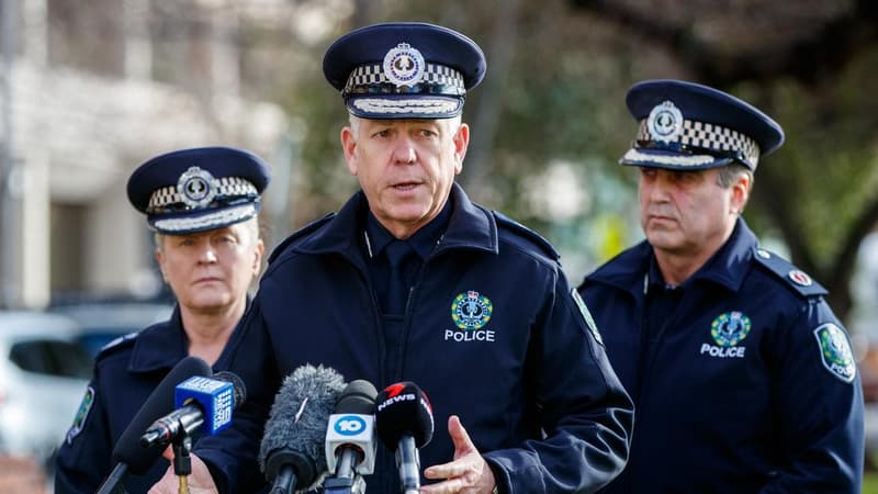 Police commissioner handpicked as King's representative