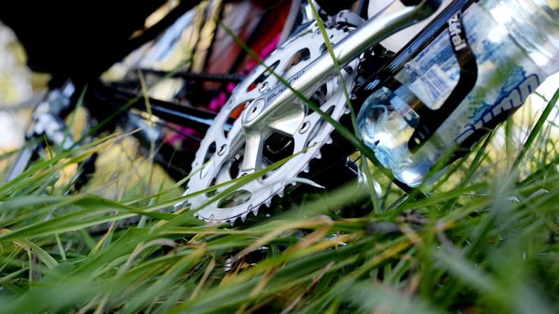 'Bike boy' admits to carjacking with young kids in back