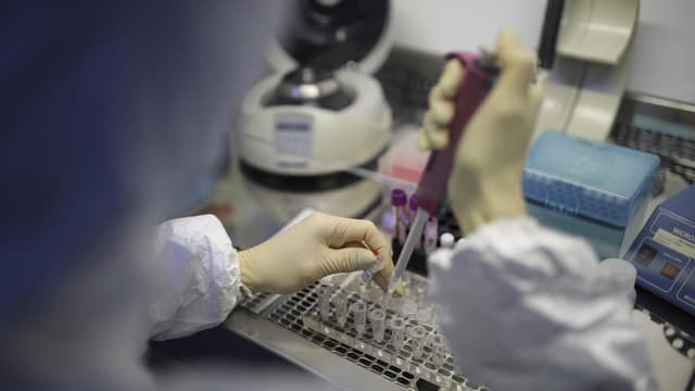 Russia says no plague, locals play down scare