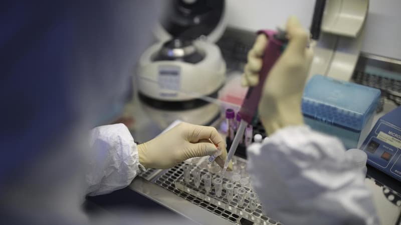 Russia says no plague, locals play down scare
