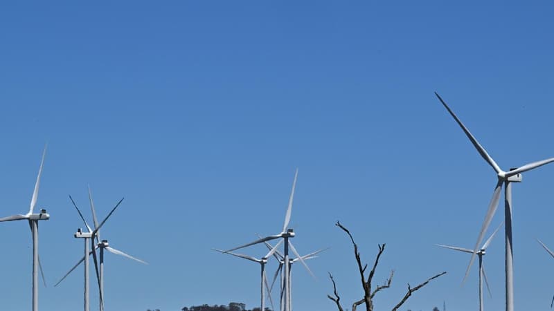 Wind farm build begins after community opposition