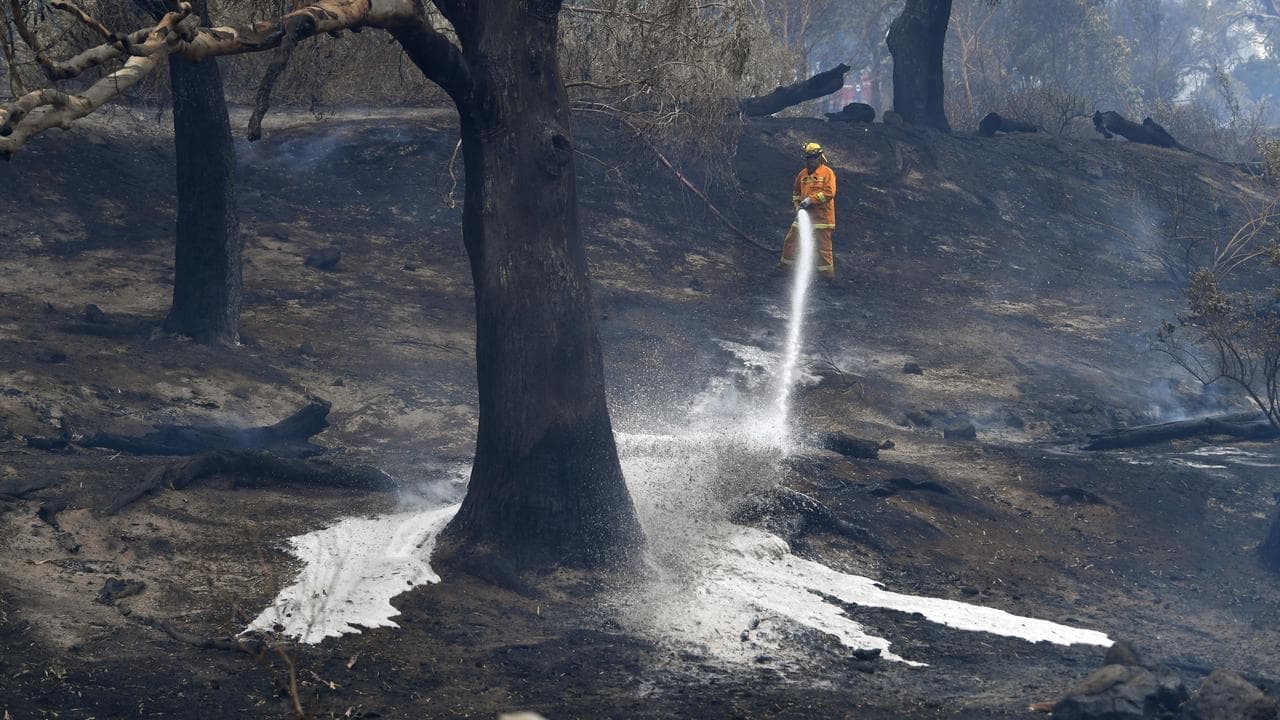 Climate change not the only blame for bushfire crisis