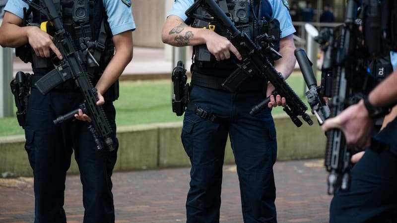 Rifle-wielding cops a sight to get used to: premier
