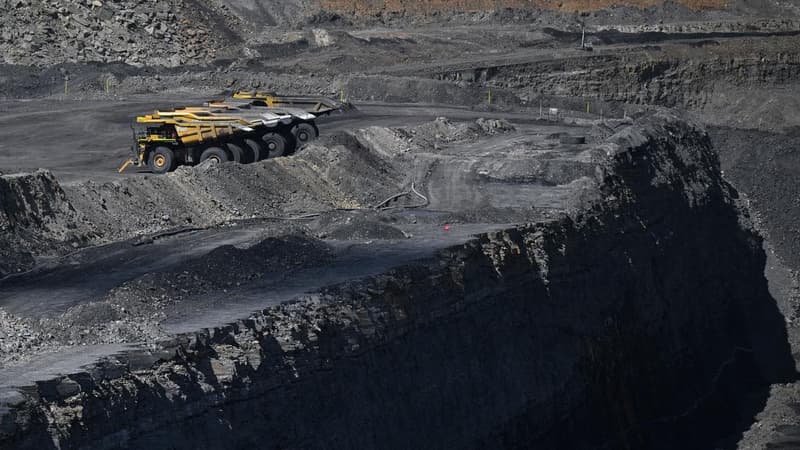'Bulletproof': laws set to protect coal after ruling