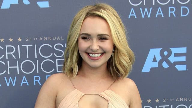 Panettiere's ex granted legal status to protect estate