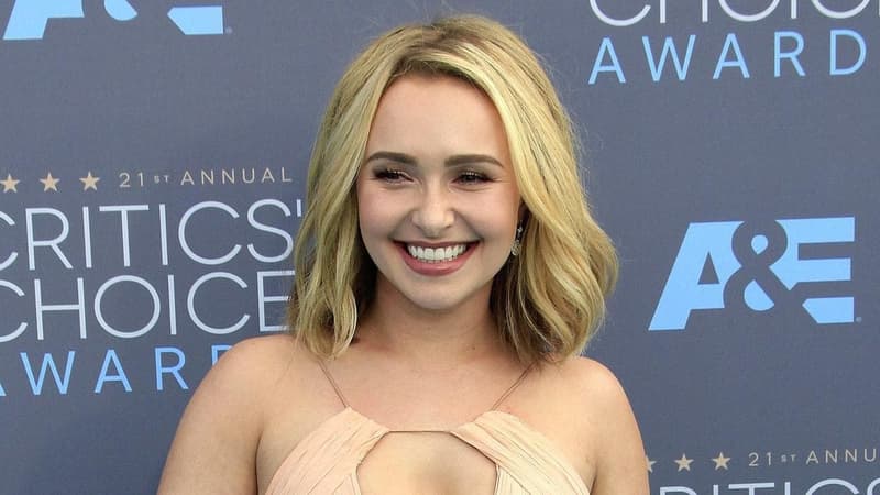 Panettiere's ex granted legal status to protect estate