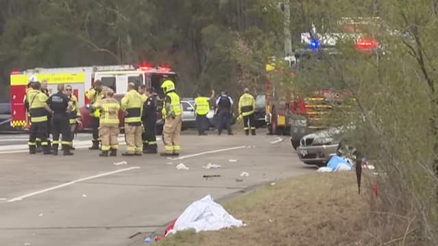 P-plater bailed after horror crash into Newcastle fans